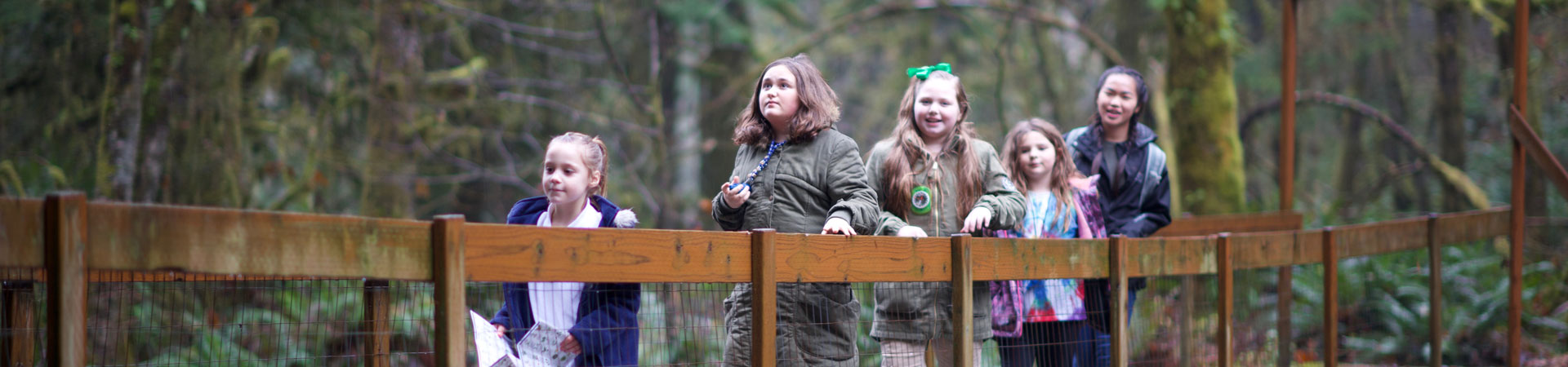 A group of five Girl Scouts crossing a bridge in the woods. 
