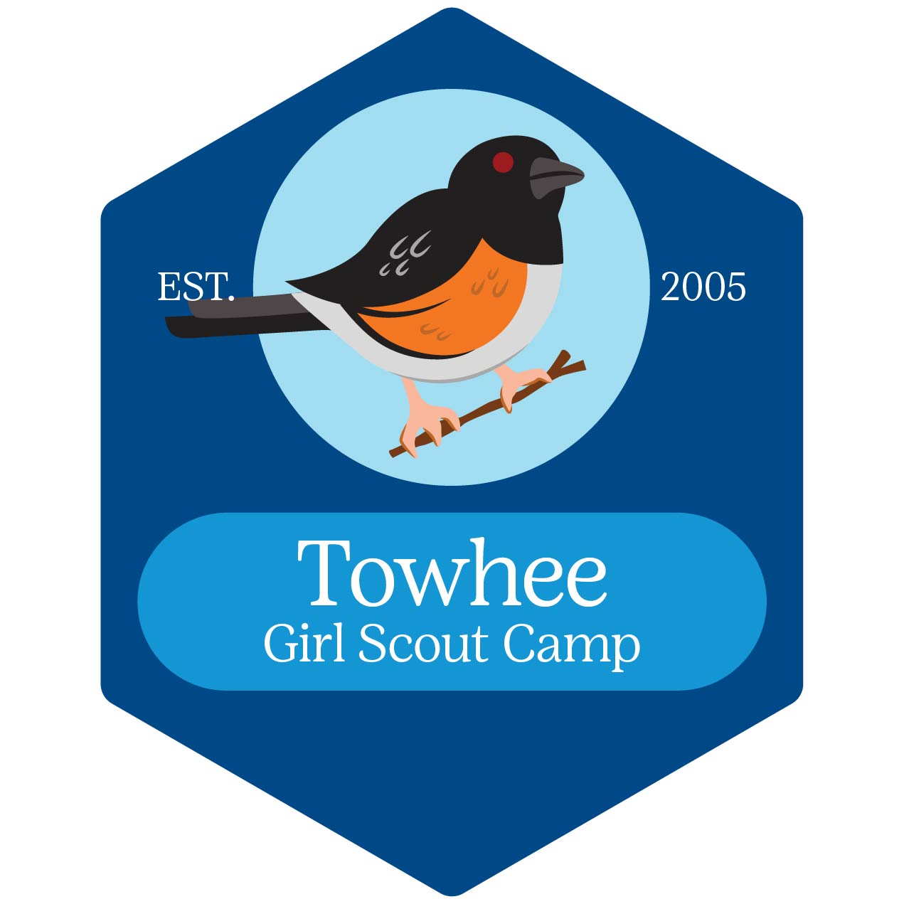 An illustration of a black and brown bird on a branch is set against a blue shape. White text reads, "Towhee Girl Scout Camp. Est. 2005."