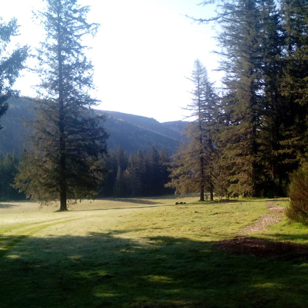 A grassy opening and trail cut through a forested area at Girl Scout camp Towhee. A hillside is off in the distance. 